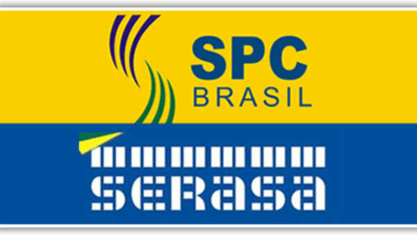 SPC Consultas e Registro CPF/CNPJ Avulsa - Image 4