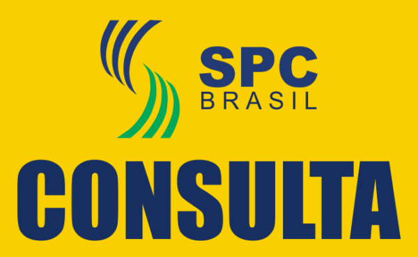 SPC Consultas e Registro CPF/CNPJ Avulsa - Image 3